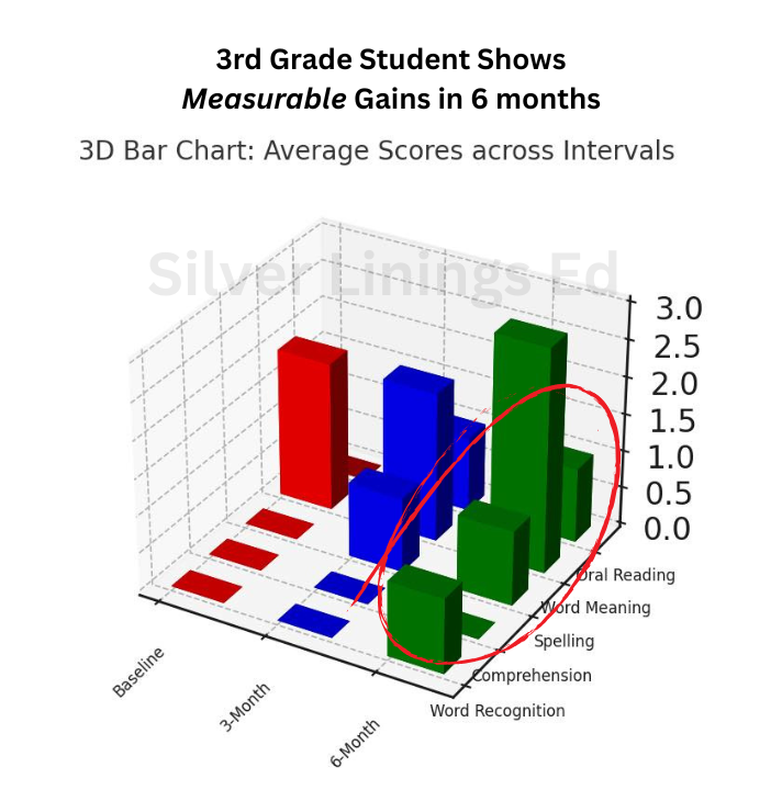 Measurable reading gains in 6 months - dyslexia intervention results